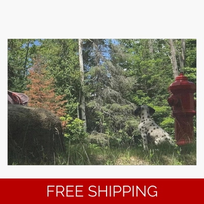 Le Studio Jigsaw Puzzle Rush Signals Statue back